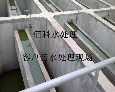 北京知名企業(yè)購(gòu)買(mǎi)我廠七水硫酸亞鐵處理鋼鐵廠污水